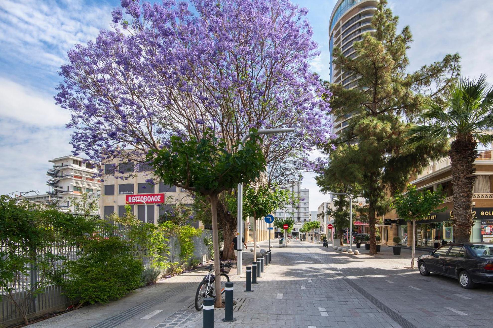 Urban Condo 43 - 1 Bdr Nicosia Eksteriør billede